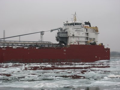 2015-04-08b WB.jpg