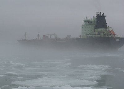 2015-04-09b Purha.jpg