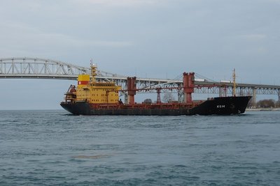 Colorful, new visitor to the Great Lakes