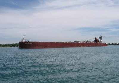 Joyce VanEnkevort &amp; Great Lakes Trader up-bound to an undisclosed location
