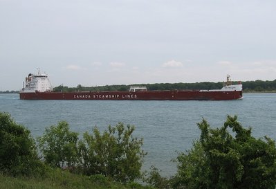 CSL Welland is loaded with grain for Montreal