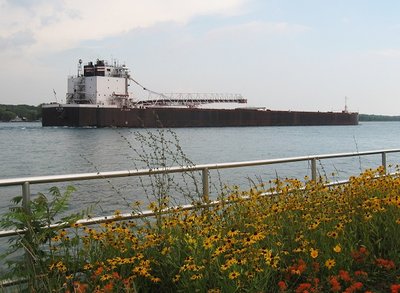 2015-07-25a St.Clair.jpg (120.01 KiB) Viewed 1371 times St. Clair loaded taconite in Silver Bay for delivery at Cleveland.