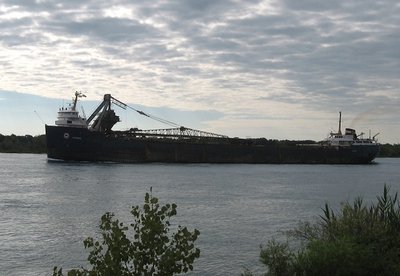2015-08-09c Algorail.jpg (98.13 KiB) Viewed 1533 times Algorail on her way to Goderich.