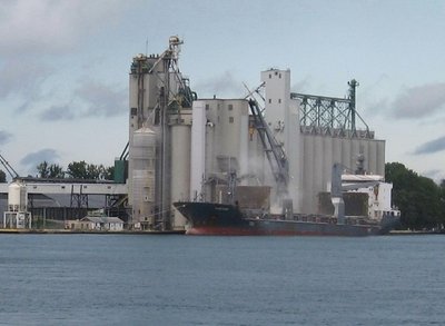 Fortune is taking on grain from the Sarnia Elevator.
