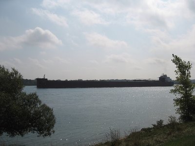 Mesabi Miner, destination Superior,  slowly led the first contingent, following the newly enforced speed restrictions on the St. Clair River.