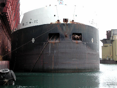 HLWhite1-9-28-03LR.jpg