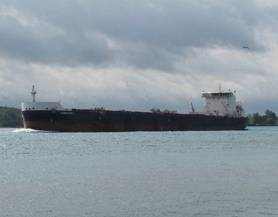 Algoma Equinox is expected at Thunder Bay.