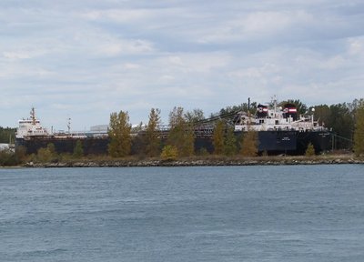 Algosoo &amp; Algoma Navigator together in the Sarnia north slip.