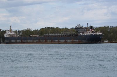 Algosteel in lay-up at Sarnia.