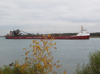 Frontenac on her way to a Seaway port.