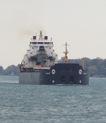 Algolake, going to Burns Harbor, makes the curve below Marysville.