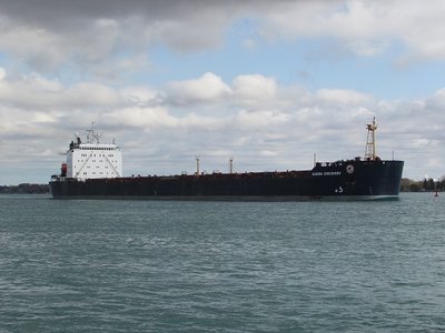 Algoma Discovery (the former salty Daviken) making her way to Montreal.