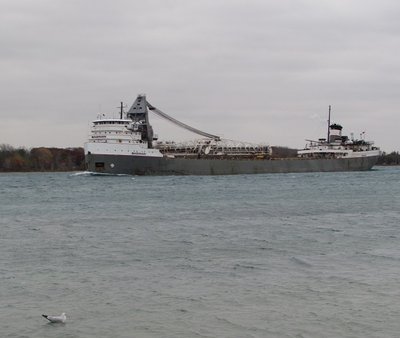 2015-10-29e Saginaw.jpg (96.59 KiB) Viewed 2178 times Haven't seen Saginaw in quite some time. She stopped at Sarnia and, depending on the AIS source, her destination is "TBA" or she's going to "Sunny Shores Resort, CA" (Canada, not California)!