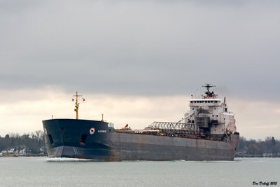 Algowood at Marine City.