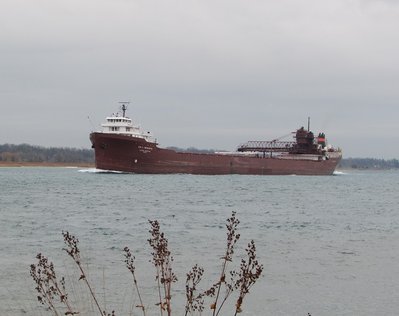 Autumn colors compliment Lee A Tregurtha's own.  She's headed to Silver Bay this trip.
