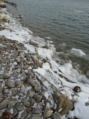 2016-01-22d Shore ice.jpg (156.85 KiB) Viewed 1568 times There was a lot more ice along the shore.