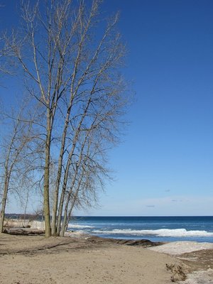 2016-02-20f Ft. Gratiot County Park.jpg (120.59 KiB) Viewed 1772 times Lake Huron portrait.