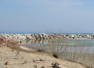 I went only part-way on the long, curving walkway out to the lake.  Not all of the snow has melted and it was refreezing.
