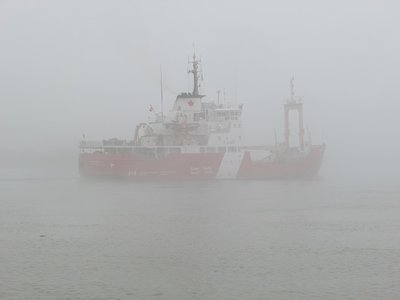 2016-03-10c CCG Griffon.jpg