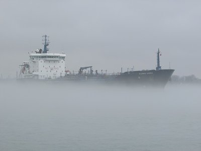 Love the ever-changing mood of a foggy day!