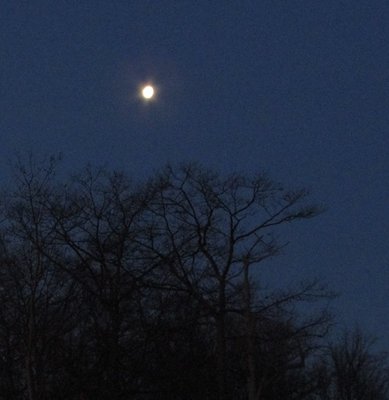 Early in the morning, while it was still dark...