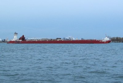 2016-04-05g JVE & GLT.jpg (114.09 KiB) Viewed 1582 times With the last hint of daylight fading quickly, Joyce VanEnkevort and Great Lakes Trader were down-bound with cargo loaded at Stoneport. No current destination given.