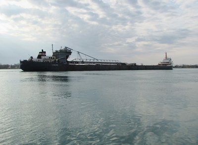 2016-04-25d Algomarine.jpg