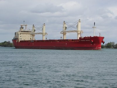 Later, Federal Bering followed her fleet mate, with the same destination.
