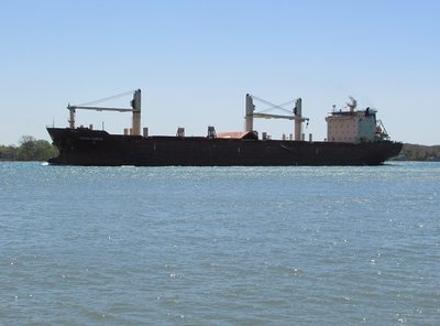 Ocean Castle (aka Federal Mattawa) on her way to Thunder Bay.