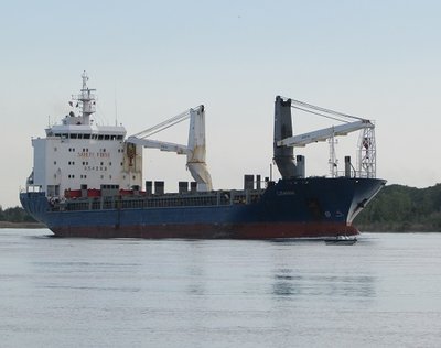 Early morning and the saltie Lisanna glides into view.